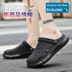 y}\N[|62%off!2998~IzXbp Y EVA X|[cT_ gO T_ ₷ 傫TCY  V[Y ItBX Vv  r JWA 