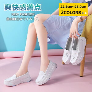 y}\N[|60%off!3998~Izi[XV[Y  fB[X ȂC n ₷ ₷ Xj[J[ Xb| C\[ tbg C\[C ƌC EH[