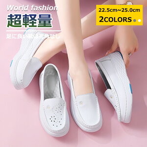 y}\N[|60%off!3998~Izi[XV[Y  fB[X ȂC n ₷ ₷ Xj[J[ Xb| C\[ tbg C\[C ƌC EH[