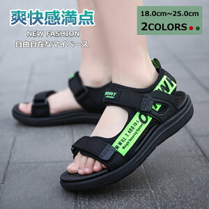 y}\N[|62%off!2998~IzT_ LbY y ₷ ubN ɂȂ TCY Ȃ 킢 r t L ʋC  j̎q JWAV[Y 