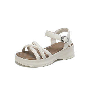 y}\N[|5998~IzT_ fB[X Y ₷ Xbp ؂ ubN x[W 킢 X|[c r[` [V[Y j W[p AEgbg 