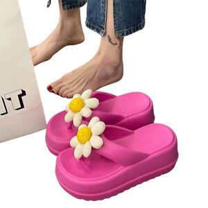 y}\N[|2998~IzT_ fB[X Y ₷ 傫TCY y LbY q[ Ȃ V[T_ x[W jp YC  Xj[J[ 