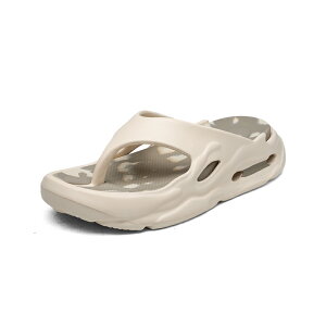 y}\N[|2998~IzT_ Y ₷ 傫TCY LbY  qC T{ ̎q 킢 p ꂢ AEghAT_ y Sn ĕ 