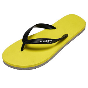 y}\N[|2998~IzT_ fB[X Y ₷  ubN X|[cT_ qC 킢 T{T_ NbO x_T_ XChT_ 