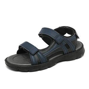 y}\N[|3998~IzT_ Y ₷ Xbp AEghA  zCg RtH[gT_ T{ ][g l h [V[Y ĕ 