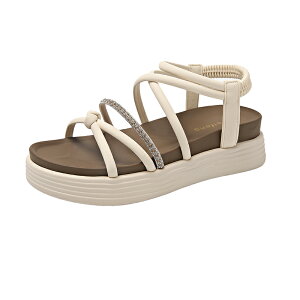 y}\N[|3998~IzT_ fB[X ₷ r[`T_ y ؂ V[T_  q RtH[g  ėp ʃt@Xi[ L U[T