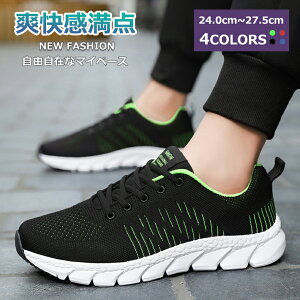 y}\N[|62%off!2998~IzXj[J[ V[Y Y fB[X ubN ₷ Xb| [Jbg ʋ O[ JWA  lCr[ ₷ j