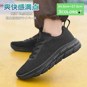 y}\N[|2998~IzXj[J[ V[Y Y fB[X ubN ₷ Xb| [Jbg ʋ O[ JWA  lCr[ ₷ jO