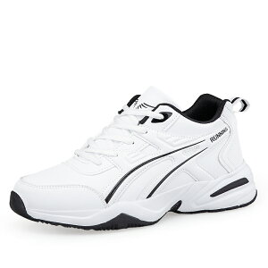 y}\N[|4998~IzXj[J[ V[Y Y YXj[J[ jOXj[J[ fB[XXj[J[ ɂ WMO ʋ ₷ LoX amC 