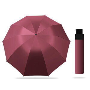 y}\N[|60%off!3998~IzP ܂肽ݎP JP 10{ Y fB[X ܂ݎP Jp  ~J΍ jp v UVJbg 蓮J Ռ ՔM ɋ  P 