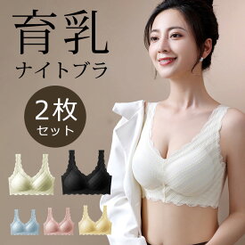 【マラソン全店2倍!☆特価2998円！】ナイトブラブラジャー 2枚セット ノンワイヤー 大きいサイズ インナー 夜用ブラ 脇高 単品 ショーツ リラックスブラ ホックなし 背肉 兼用 背肉 福袋 大きい 2枚セット 自胸 Night フロントホックブラ インナー?ルームウェア ゆったり