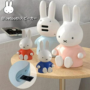 Xs[J[ Bluetooth |[^u CX BluetoothXs[J[ 360xTEh dቹ }CN nYt[ʘb  ȒP ^тɕ֗