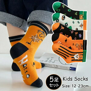 5Zbg C LbY nEB C q nEB\bNX H~@g ̎q  K[Y {[CY jZbNX ̎q j̎q  j q q nEB ߑ q Ha