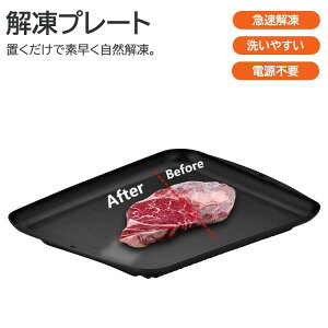 解凍プレート 急速解凍板 解凍トレー 冷凍食品 解凍 冷凍肉 魚 冷凍食材 時短キッチン用品 除氷 錆びない ノンスティック 加熱不要 エコ クッキング便利グッズ