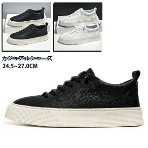 Xj[J[ Y fB[X y zCgV[Y C Xj[J[ AEghA ʋ ʊw JWAV[Y Xj[J[ 