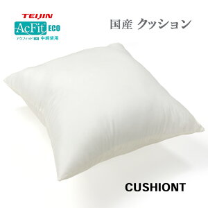 ���{�� �N�b�V���� 45×45cm �k�[�h�N�b�V���� ���� ��l �A�N�t�B�b�g �e�C�W�� �t�����e�B�A ���� �@�\�Ȏg�p �e�� �h�_�j ���� �R�� �h�L ���Y �y1�����z �y1�z CUSHIONT