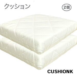 ���{�� ������ �N�b�V���� �y2�z 45×45cm ������ �ł� �d�� �Ŕ��� ������ �Ɍ� ���� ������ �y�� ������ �Ŕ��� �O�w�� �G�A�[�v���X �d�� �ł� �R�� �h�L �h�J�r ���� ��7cm �N�b�V���� AIR PRES