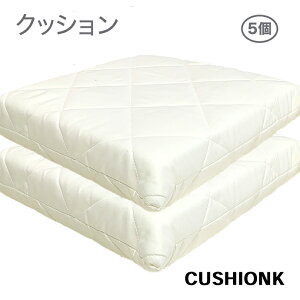 ���{�� ������ �N�b�V���� �y5�z 45×45cm ������ �ł� �d�� �Ŕ��� ������ �Ɍ� ���� ������ �y�� ������ �Ŕ��� �O�w�� �G�A�[�v���X �d�� �ł� �R�� �h�L �h�J�r ���� ��7cm �N�b�V���� AIR PRES