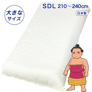 �}�b�g���X �Z�~�_�u�� �����O ���{�� �傫�ȃT�C�Y 5�w�\�� 120cm × 210 220 230 240cm �����O�T�C�Y �}�b�g �V���O�������O ������ �R�� �h�L �h�J�r �h�_�j 5�w�� ���� �d�� ���� ���� ���[ �O��