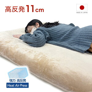 { ~zc }bgX VO tl   11 cm o[Vu  e R L h_j  GA[vX  d c }bg    gp [ zc }b