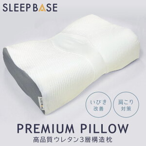  ܂ySLEEP BASEzPREMIUM PILLOW {  50cm ×  35cm × 12cm i E^ 3w\ 􂦂 sJo[t ʋC z Q Ȃ QSnǂ x