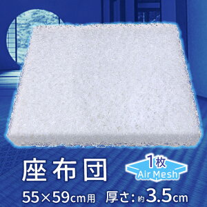 y5OFFN[|zzz CŎx [v@ GA[ zc {  zc AIR Mesh PRESS Jo[t y ł CŎx hJr 3.5cm 唻 ԂƂ GA[zc (