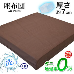 { zc  y1z 55×59cm  ł d Ŕ  Ɍ  Iׂ J[ h_j _jʉߗ0% ȍ  Ŕ GA[vX  7cm 唻 ԂƂ Uug (Jo