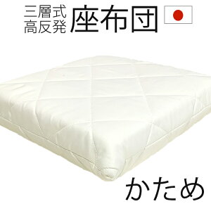 {  zc y1z 55×59cm Ŕ  Ɍ   y  Ŕ Ow GA[vX ł R hL hJr   7cm 唻 ԂƂ AIR PRESS (55×59 