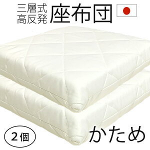 { zc  y2z 55×59cm Ŕ  Ɍ   y  Ŕ 7cm@Ow GA[vX ł d@R hL hJr  唻 ԂƂ@AIR PRESS 