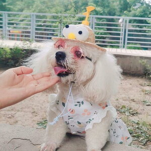 ^ U   o CX^f ybgEFA s[X t[c ybg hbOEFA L p ybgpi lRG OJ ȂXibv{^t ₷