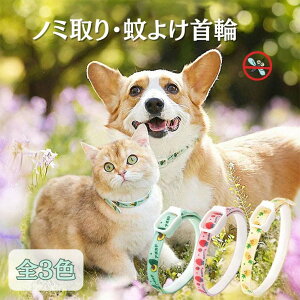 VRn[u m~悯 悯 Jbg\ h  p Lp ^p ^ փ^Cv pi ybg h [OK yg033zyz