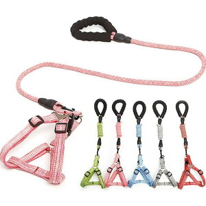 y悠z n[lX Aj}G [h ybgpi hbOEFA L/^ w [v n[lX2_Zbg ybgEFA Jt v`v킢 pi lR Un[