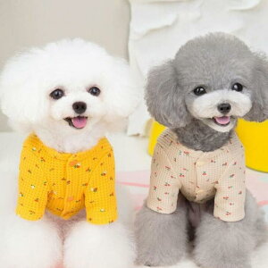 ys50%OFFzH   hbOEFA ybg gbvX J[fBK WPbg 킢 ؍ btn  o U 킢 ԕ L Lp p LG [