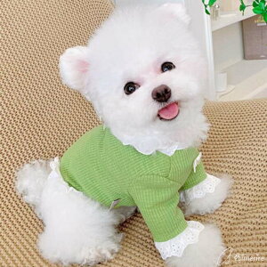 ys60%OFFz  gbvX Jt hbOEFA C[h ybgEFA ^ u₩ { [X d˒ Ci[ o U G[    ybg 