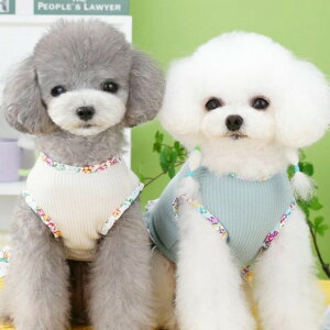 킢 V  L  ԕ ^p ؂ւs[X Jt ̎q ybg o t 킢 ybgEFA U s[X ybgpXJ[g  [OK ya21