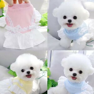 킢  H V u₩ gbvX Jt ^  ybg  L p єh~ ybgpi   v`v [X [OKya293z