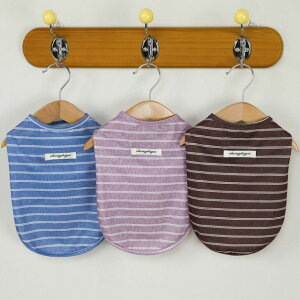 NEW! V ! H~  ^ Jbg\[ Ȃ j̎q ̎q ^Ngbv v`v  Vv {[_[ XgCv TVc 킢 tVc tgbvX ps[ 