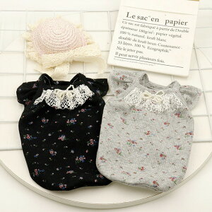 ! ԕ { p[ mg[ K[[ L~\[ Jbg\[ gbvX 킢 d˒ Ci[ p Lp hbNEGA [X   ^ ̎qya352zy
