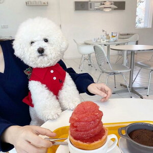   |Vc Hp ybgEFA ^ ^  킢 ؍  hbOEFA L LpEFA ʋCQ Jt  lC o U  ybg  