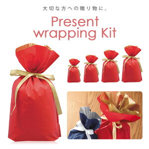 }`tI{tВ܃bsOLbg@ԐF̂݁@bsO bsOLbg ȒP v[g{î݂͕̂słBV[ a  C ̓ NX}X x