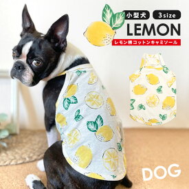 楽天市場 レモン柄 犬用品 ペット ペットグッズ の通販