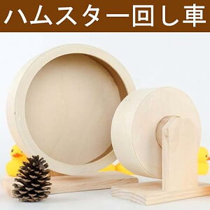 nX^[ zC[ É Â 傫 nX^[ 񂵎 ؐ [~B TCg zC[ É VR 咼a  񂵎 nX^[ jO ^s nX^[ 