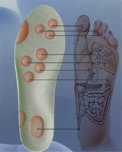 C\[ Ռz ~ ؖ G R hL Xj[J[ vC gAbv X|[c ᔽ jp ɂ C\[ Ռz A[`T|[g Ε y܂   3