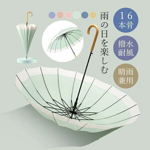 P JP fB[X P 16{ J v  킢 蕨 wlP fB[X ꂢ Z w Vv  JT