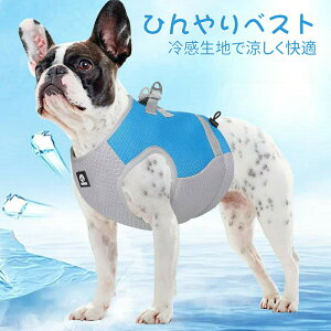 pN[xXg N[xXg S`XL p ⊴ pxXg ЂxXg ⊴ pĕ pR[g ʋC MǑ΍ Ăh o U đ΍