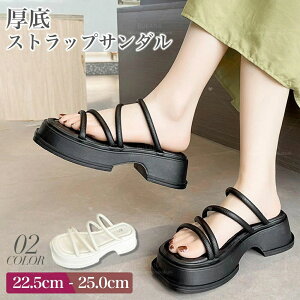  T_ fB[X t ؍  l 킢 ₷ ₷ XgbvT_ JWA r[` v[ l lq