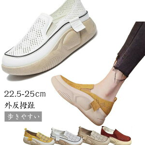 EhgD胍[t@[ JWAV[Y fB[X Od ₷ [t@[ y ~ r ʋCK L ʋC t  ꃍ[t@[ Xj[J[ JW