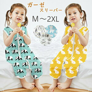 pW} X[p[ K[[ xr[ 5color LbY xr[ Rbg100 q Ԃ [EFA Q zc q _炩 WjA   Q z   t H  [΍