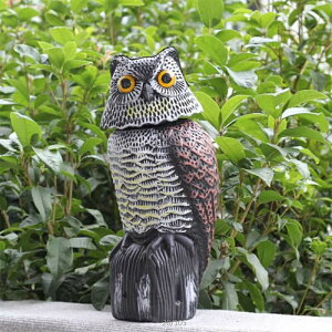 悯 h 悯 ރObY  h Q ΍ Њd tNE  ObY x_ Q΍ Uӂ낤  悯tNE h hb΍ tNE Œݒup ȒPݒu