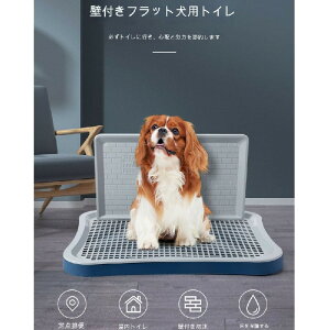 gC ybggC ybgg[ ^gC pgC |ȒP }[LO|[tgC g[ gCg[ t`t ~ g[jO EH[g